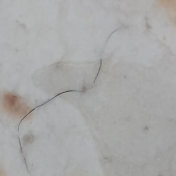 İçinde Kıl Olan Tortilla Lavaşta Hijyen İhlali Ve Firma Cevapsızlığı