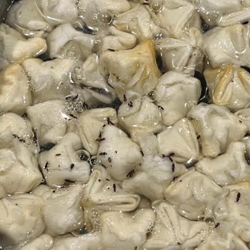 Marka Mantısında Böcek: Hijyen İhmal Ve Bebeğin Sağlığı
