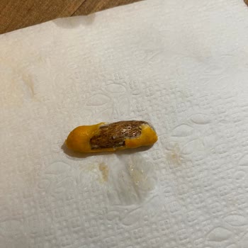 Sim Bat Marka Soslu Fıstıkta Yabancı Cisim Bulunması Sağlık Endişesi