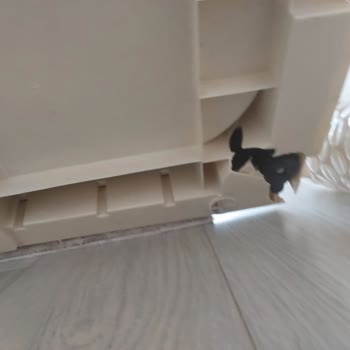 Horoz Lojistik'ten Taşınan Kurutma Makinemde Hasar Ve Cevapsız İletişim
