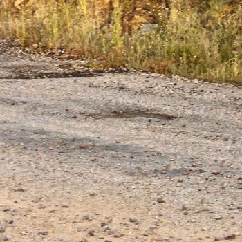 İzmir Dikili Çandarlı Yolunda Tehlikeli Çukur Ve Çökme Durumu Acil Onarım Gerektiriyor