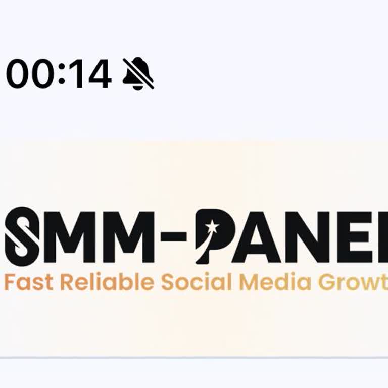 Smpanel.net Instagram Takipçi Hizmetinde Başlatılamayan Sipariş Ve İade Sorunu