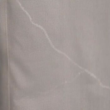 Esenyurt’taki İlaçlama Eksikliği Ve Haşere Sorunu