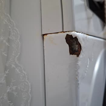 Bosch Çamaşır Makinesinde Boya Kabarması Ve Deterjan Gözü Altında Paslanma