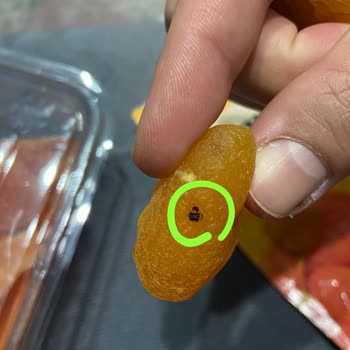 Simbat Kuru Kayısında Yabancı Maddeler Ve Sağlık Endişesi