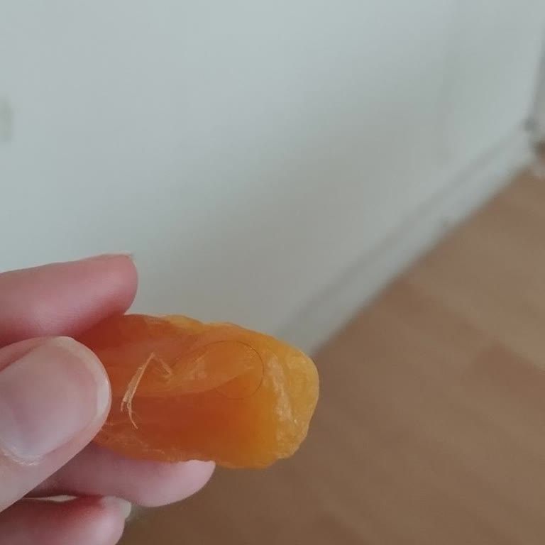 Kuru Kayısının İçinde Kıl Ve Hijyen Sorunu, İade Talebi
