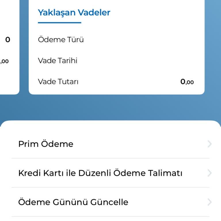 Mobil Uygulamada Ödeme Görünmemesi Tekrarı Ve Finansal Mağduriyet