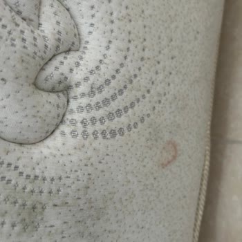 Nemli Ve Lekeli Yatak, Müşteri Hizmetine Ulaşılamıyor