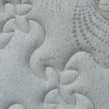 Nemli Ve Lekeli Yatak, Müşteri Hizmetine Ulaşılamıyor