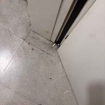 Kocaeli Şehir Hastanesinde Kapalı Alanda Sigara İçilmesi Ve Hijyen İhlali
