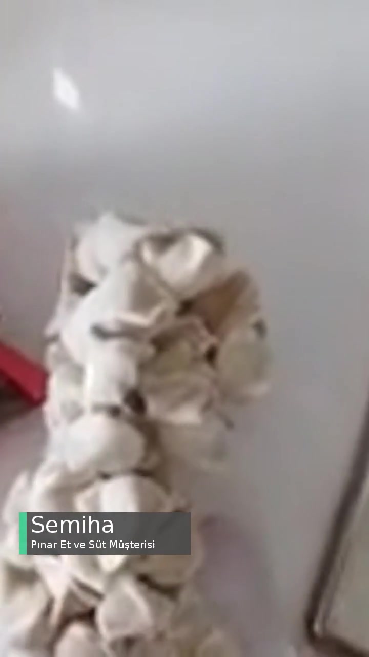 Pınar Mantıdan Çıkan Madde! videonun kapak resmi