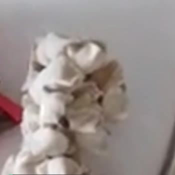 Pınar Mantıdan Çıkan Madde!