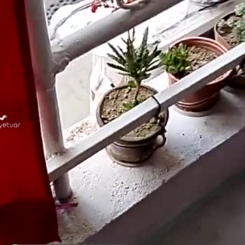 Ztech Güvenlik Sistemleri Kameranın Tüm İzleme Fonksiyonlarını Kapatmama Rağmen Dönüyor!