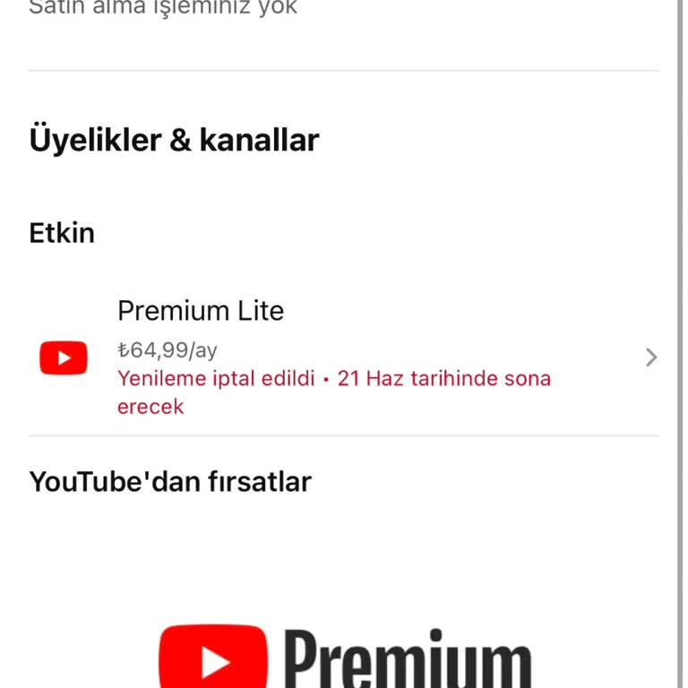 Yanlışlıkla Alınan Youtube Premium Lite İçin İptal Ve İade Talebi