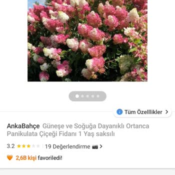 Yanlış Ürün Gönderimi Ve Yorumun Yayınlanmaması