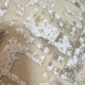 Elmas Halı Yıkama’da Eksik Temizlik Ve Kaba Davranış