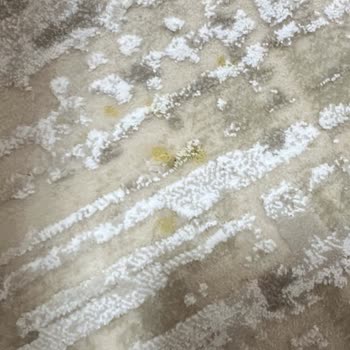 Elmas Halı Yıkama’da Eksik Temizlik Ve Kaba Davranış