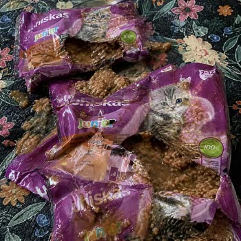 Amazon Delivered Damaged Whiskas Junior Cat Food Without Solution