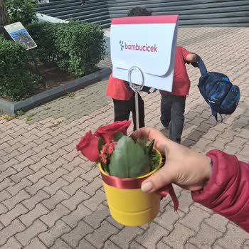 Bambu Çiçek Şikayeti
