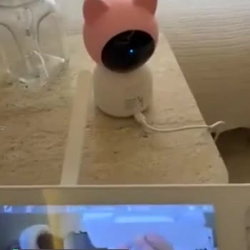 Xenon Smart Bozuk Ürün, Yetkiliye Ulaşamıyoruz