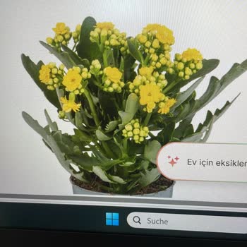 Migros Sanal Market Çiçek Siparişinde Kalitesiz Ürün Ve İade Sorunu