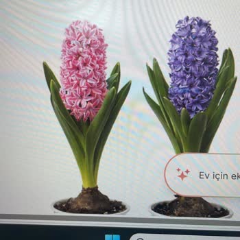 Migros Sanal Market Çiçek Siparişinde Kalitesiz Ürün Ve İade Sorunu