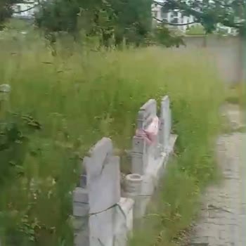 Esenyurt Kıraç Yeni Mezarlık Müdürlüğü boyumuza kadar uzayan otlar