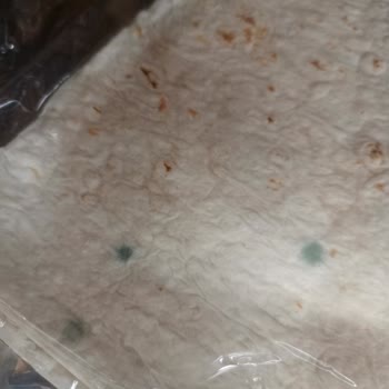 A101 Geyve Şubesinde Küflü Lavaş Ve Çalışanların İlgisizliği
