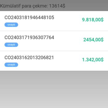 TikTok Üzerinden Yanıltıcı Yatırım Teklifleri Ve Geri Çekilemeyen Fonlar