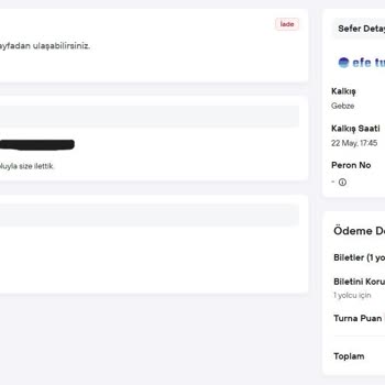 Efe Tur Tekli Koltuk Talebim Göz Ardı Edildi, Çift Koltukla Ek Bilet Satışı Şüphesi