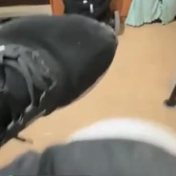 Nike Ve In Street Pişmanlık