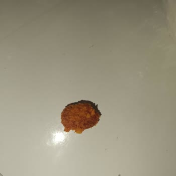 Eti Crax Tozunda Yabancı Madde Çıktı Ve Sağlık Endişesi