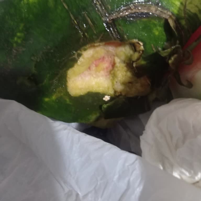 Hasarlı Ve Bozuk Karpuz İçin İade Ve Telafi Talebi