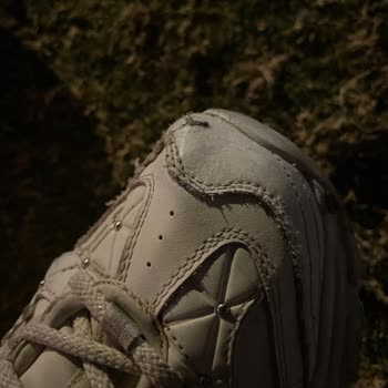 Kısa Sürede Şişen Ve Çatlayan Skechers D'Lite Ayakkabının Değişim Talebi