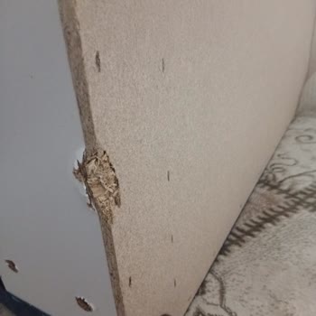 Kırık Koltuk Tesliminde Horoz Lojistik'in Reddi Ve Trendyol'un Çözüm Eksikliği
