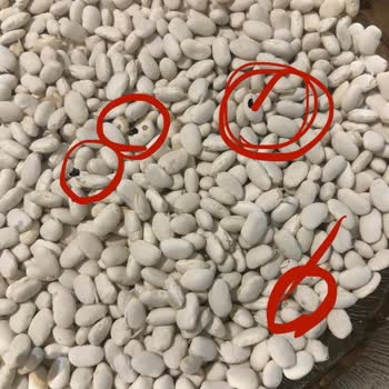 Carrefour Kuru Fasulyede Kurtlu Ürün: Gıda Güvenliği İhlali Ve İade Talebi