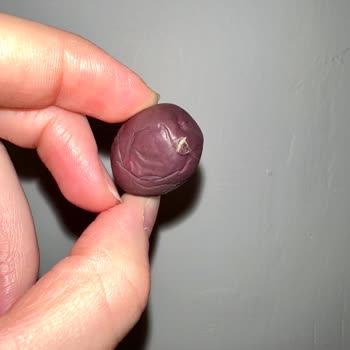 MarmaraBirlik Premium Zeytin Üzerinde Yapışık Madde Hijyen Endişesi