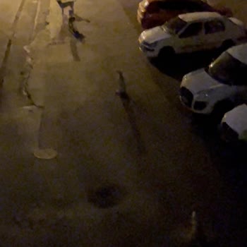 İzmir Büyükşehir Belediyesi’nden Karşıyaka’da Başıboş Köpek Sorununa Çözüm Bekleniyor