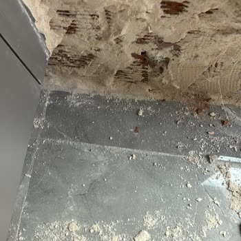 Emlak Yönetim Su Sızdırma Problemi Nedeniyle İkinci El Dairede Yaşanan Mağduriyet