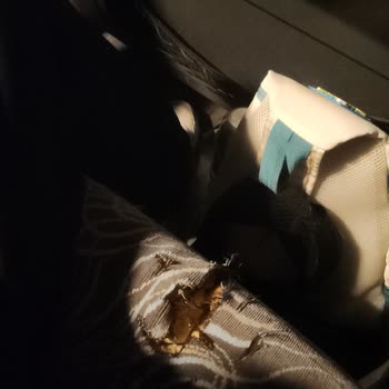 Klima Çalışmayan, Bakımsız Ve Geciken Otobüs Seferi