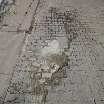 Keçiören Yayla Mahallesi 1477. Sokaktaki Çukurlu Yol İçin Acil Asfalt Yenileme Ve Güvenlik Talebi