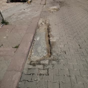 Keçiören Yayla Mahallesi 1477. Sokaktaki Çukurlu Yol İçin Acil Asfalt Yenileme Ve Güvenlik Talebi
