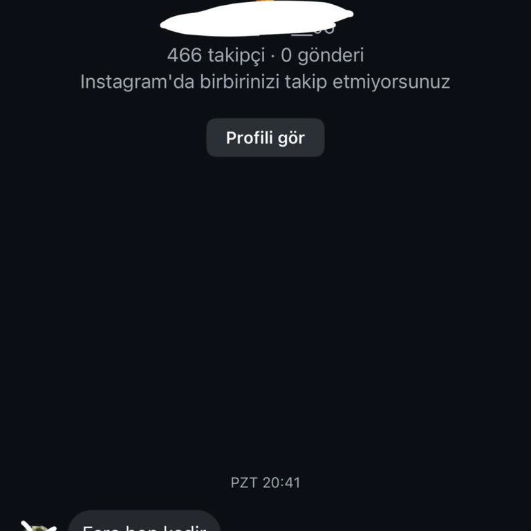 Soulchill'de Instagram Kimliğimin Sahte Kullanımı Ve Hızlı Ban Talebi