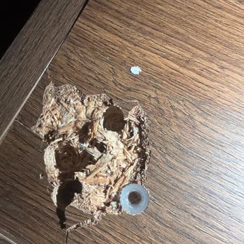 Karyola Ayakları Kırıldı Mağaza İlgisiz Ve Çözüm Bekliyor