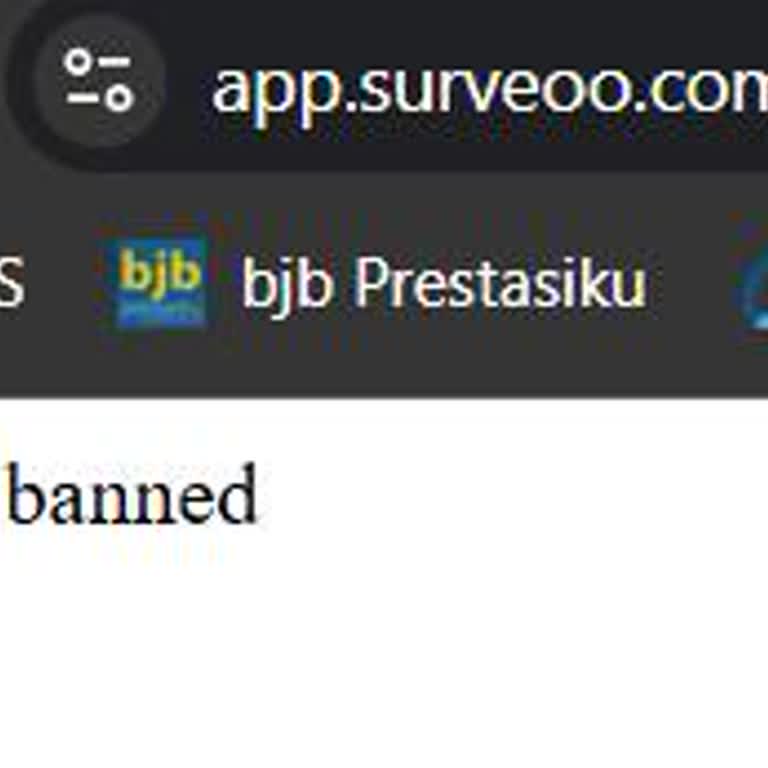 Surveoo Account Banned for Fraud Detection After Phone Entry