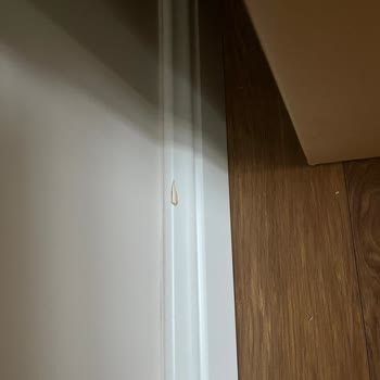 Teslimat Personelinin Agresif Davranışı Ve Yeni Parkelere Verdiği Zarar
