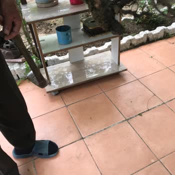 Kurumuş Fidan Gönderildi, Sağlıklı Ürün Talebi