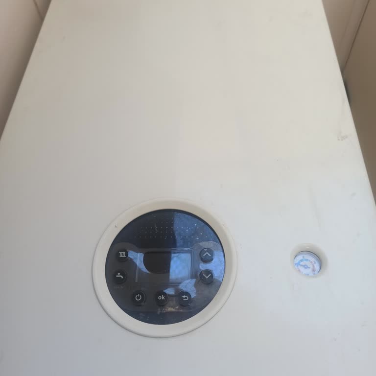 Bosch Kombimde Kazan Şişmesi Ve Tekrarlayan Arızalar, Ücretli Servis Şikayeti