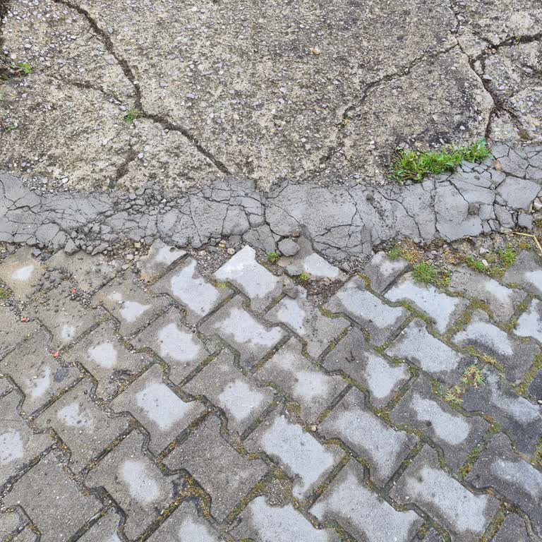 Türk Telekom Şikayeti