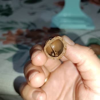 Ozmo Mini Eggs Çikolatasının İç Doluluğu Boş Çıktı